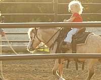dun-buckskin-horse