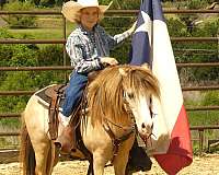 husband-safe-pony