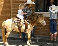 playday-pony
