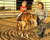 ranch-work-pony