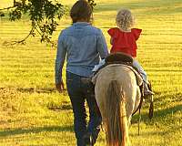 roping-pony