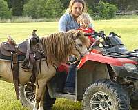 trail-pony
