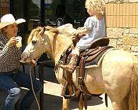 trail-riding-pony
