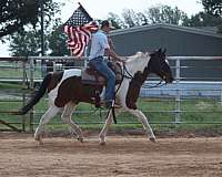 kid-safe-paint-horse