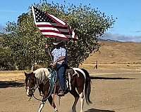 beginner-quarter-pony