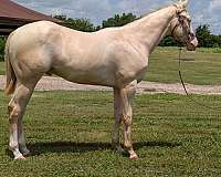 white-spots-on-his-sides
