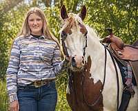 flashy-gypsy-vanner-horse