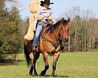ranch-versatility-quarter-horse