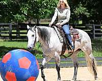 mare-quarter-horse