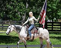 flashy-quarter-horse
