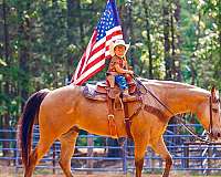 ranch-work-quarter-horse