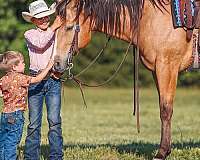 buckskin-quarter-horse-gelding