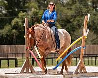 parade-friesian-horse