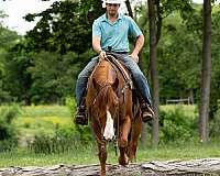 trail-riding-quarter-horse
