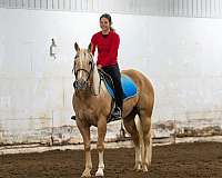 ranch-versatility-quarter-horse