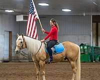 ridden-english-quarter-horse