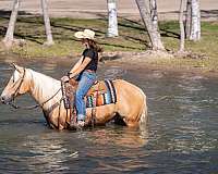 roping-quarter-horse
