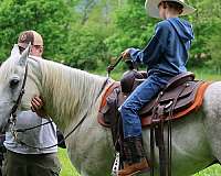 beginner-quarter-horse
