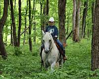 kid-safe-quarter-horse