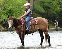 flashy-quarter-horse