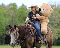 roping-quarter-horse
