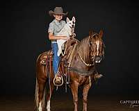 ranch-quarter-pony