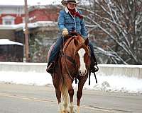 flashy-quarter-horse