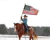 ranch-work-quarter-horse