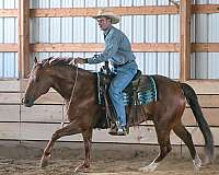 youth-quarter-horse
