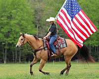 roping-quarter-horse