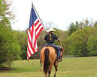 trail-riding-quarter-horse
