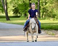 athletic-pony