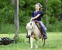 barrel-pony