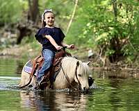 beginner-pony