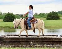 kid-safe-pony