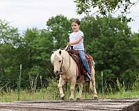playday-pony