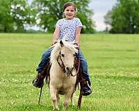 trail-pony