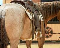 ranch-versatility-quarter-horse