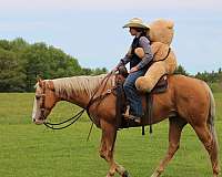 ranch-work-quarter-horse