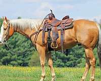 trail-riding-quarter-horse