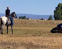 ranch-work-draft-horse