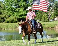ranch-quarter-horse