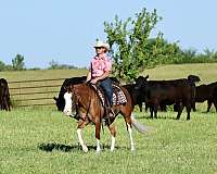 ranch-work-quarter-horse