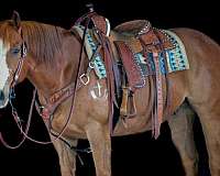 roping-quarter-horse