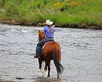 youth-quarter-horse