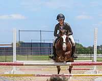 kid-safe-pony