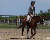 trail-pony
