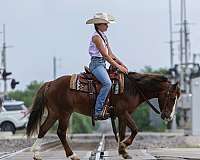 sorrel-all-around-pony