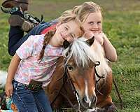 trail-pony