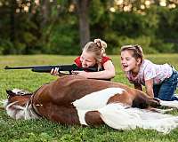 trail-riding-pony